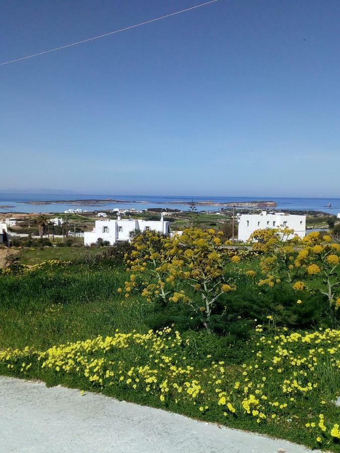 Traditional House Paros Sarakíniko Exteriér fotografie